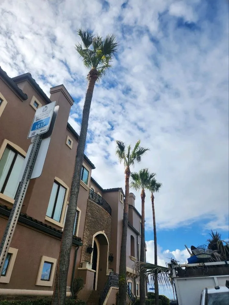 Custom landscape installation in Irvine, CA - Tim Ynclan's Artistic Tree Service