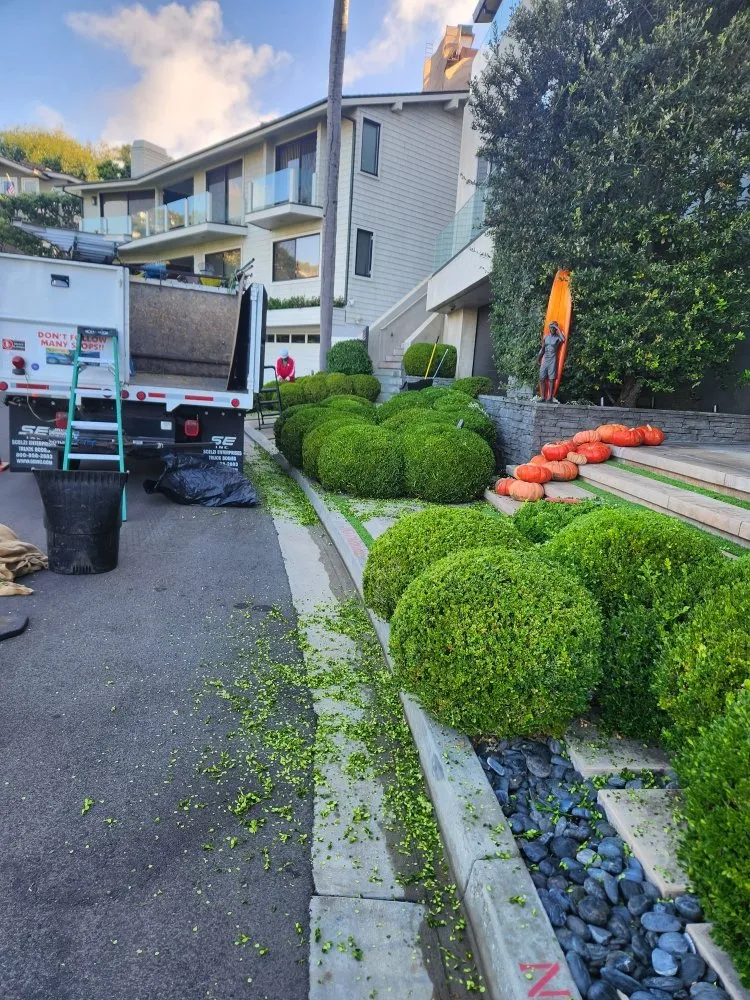 Custom landscape installation with custom design in Irvine, CA by Tim Ynclan's Artistic Tree Service