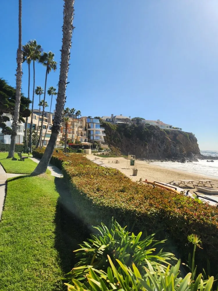 Top-rated landscape design in Irvine, CA by Tim Ynclan's Artistic Tree Service