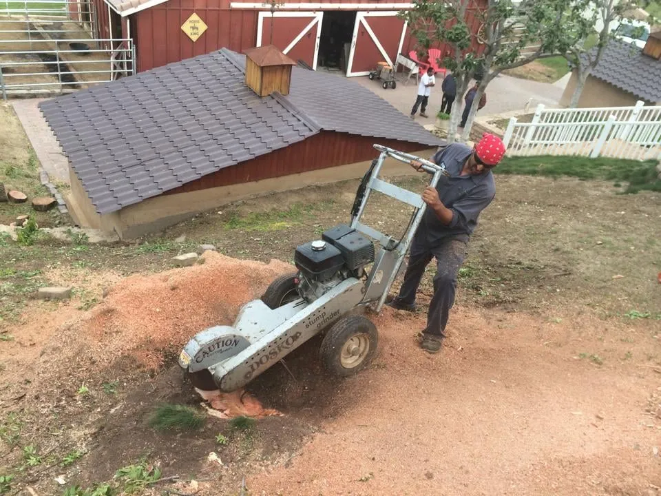 Reliable garden landscaping in Irvine, CA - Tim Ynclan's Artistic Tree Service