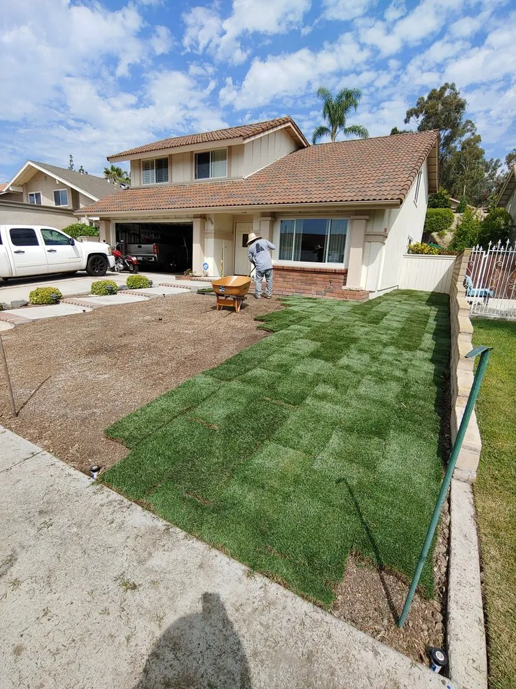 Expert outdoor landscaping with custom design across Irvine, CA - Tim Ynclan's Artistic Tree Service