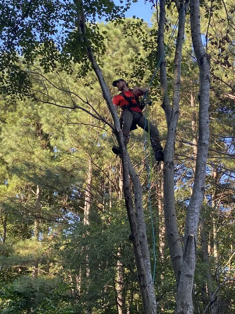 Reliable landscape installation in Liberty, SC by Timber & Turf