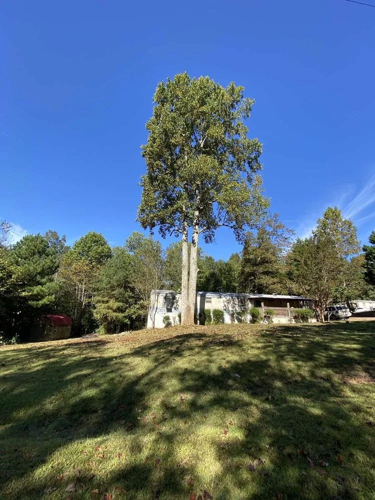 Trusted yard maintenance in Liberty, SC - Timber & Turf