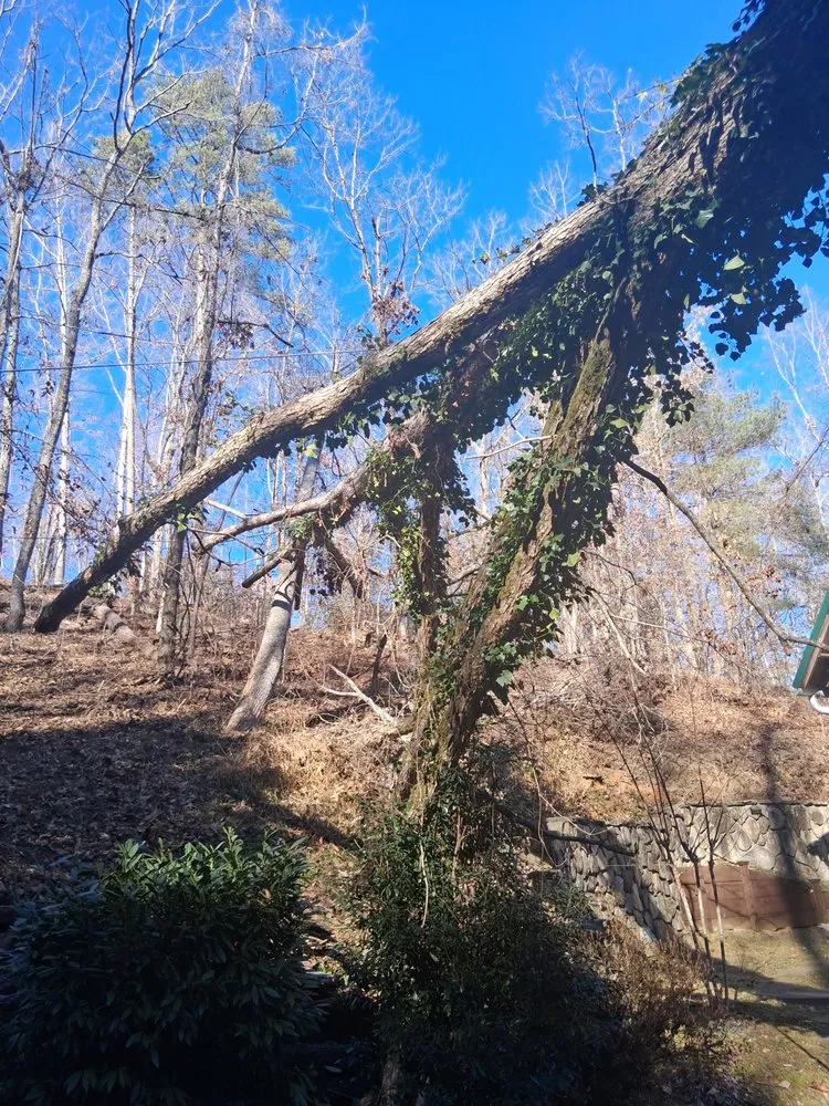 Expert landscape design with custom design across Liberty, SC - Timber & Turf