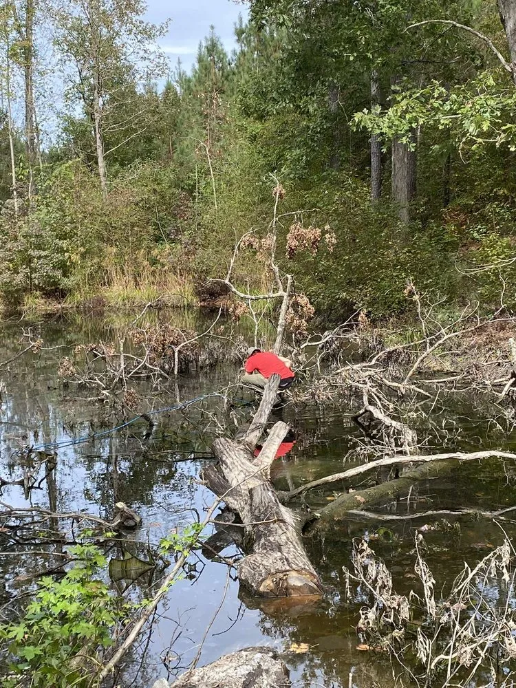 Expert landscaping services in Liberty, SC - Timber & Turf