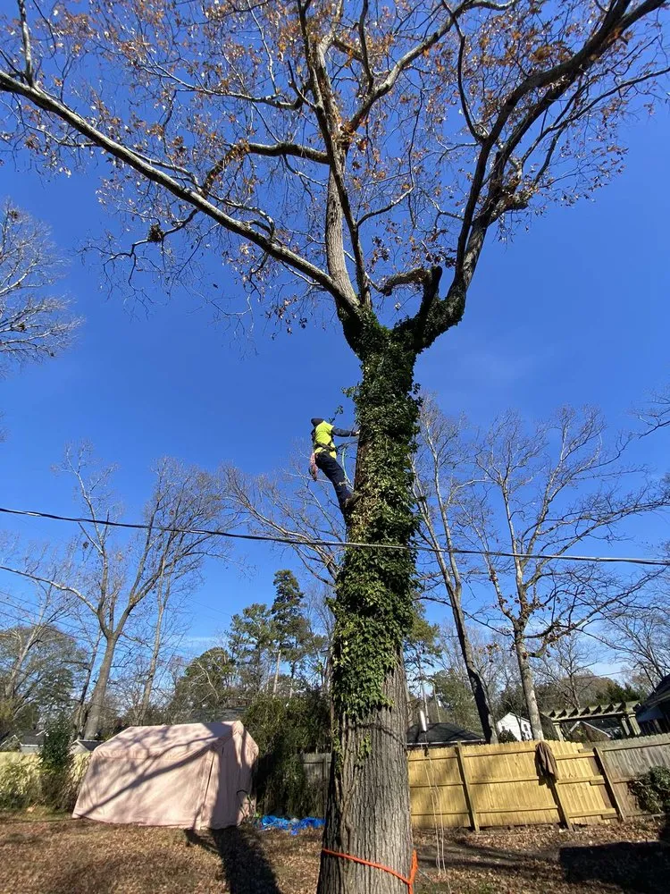 Local landscape design in Liberty, SC - Timber & Turf