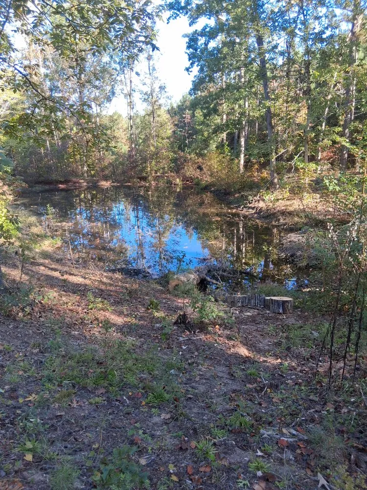 Professional garden landscaping in Liberty, SC by Timber & Turf