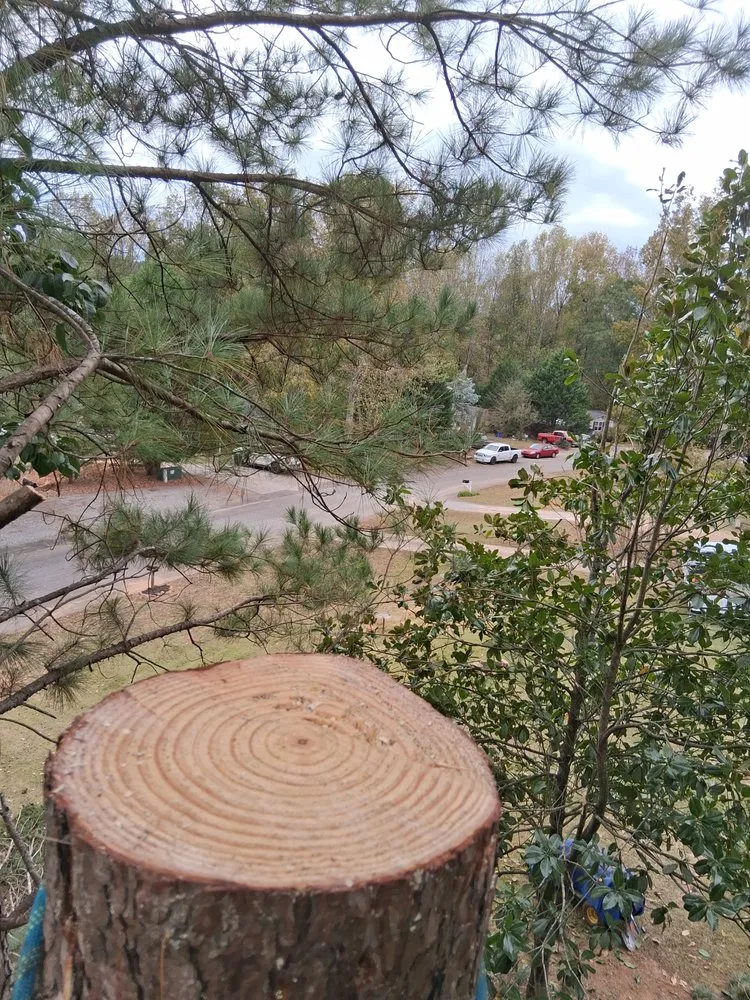 Trusted lawn care service with custom design across Liberty, SC - Timber & Turf