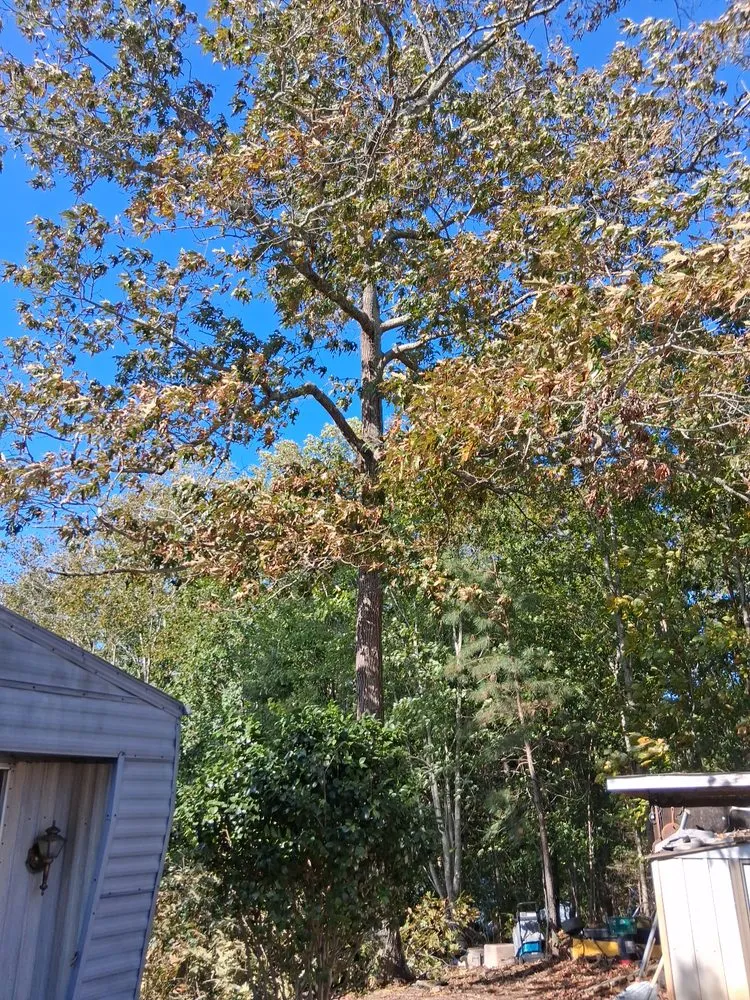 Reliable landscape installation experts serving Liberty, SC - Timber & Turf