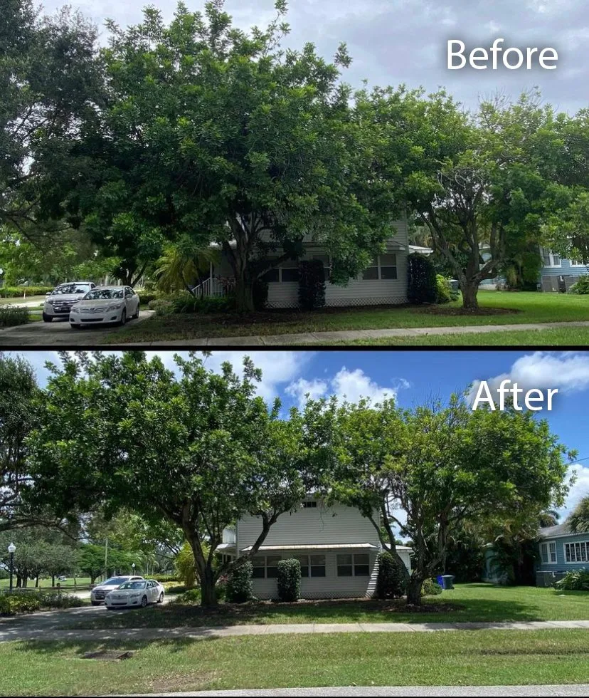 Custom lawn care service experts serving Caryville, TN - Timber and Shine