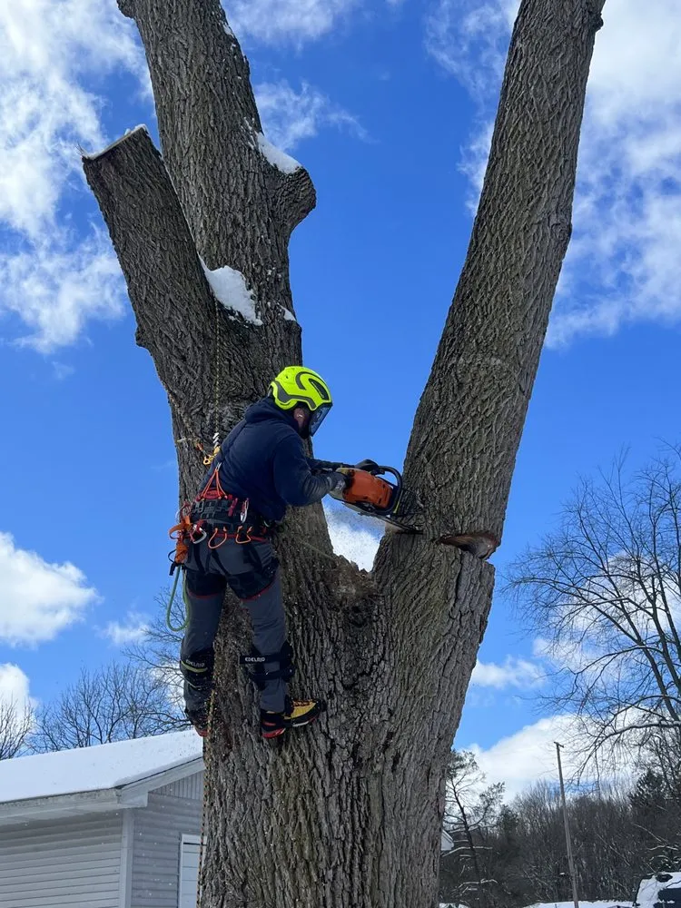 Custom landscape installation experts serving Mason, MI - Timber Bros