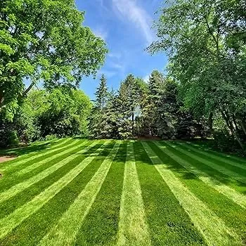 Trusted garden landscaping near you in Mason, MI by Timber Bros