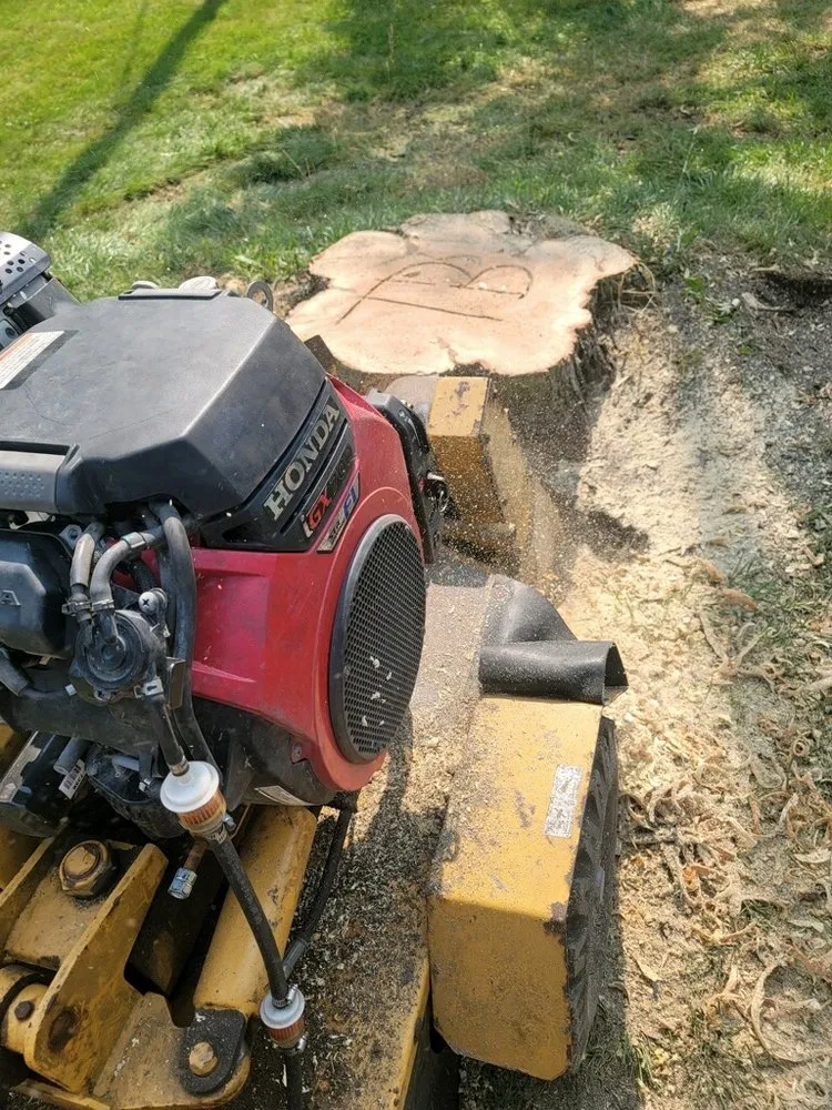 Expert residential landscaping for homes in Mason, MI by Timber Bros