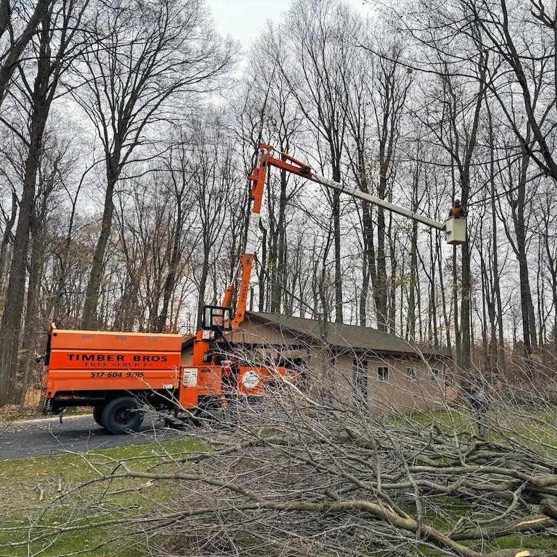 Professional lawn care service in Mason, MI - Timber Bros