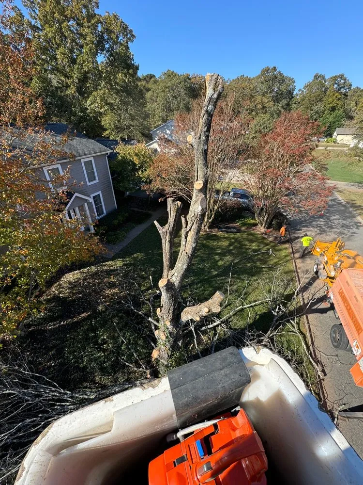 Affordable yard maintenance with custom design in Mason, MI by Timber Bros