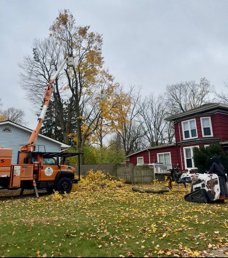 Affordable outdoor landscaping experts serving Mason, MI - Timber Bros