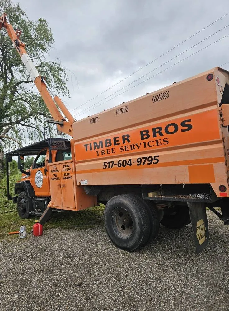 Trusted landscaping services for homes across Mason, MI - Timber Bros