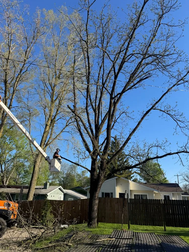 Reliable landscaping services in Mason, MI - Timber Bros