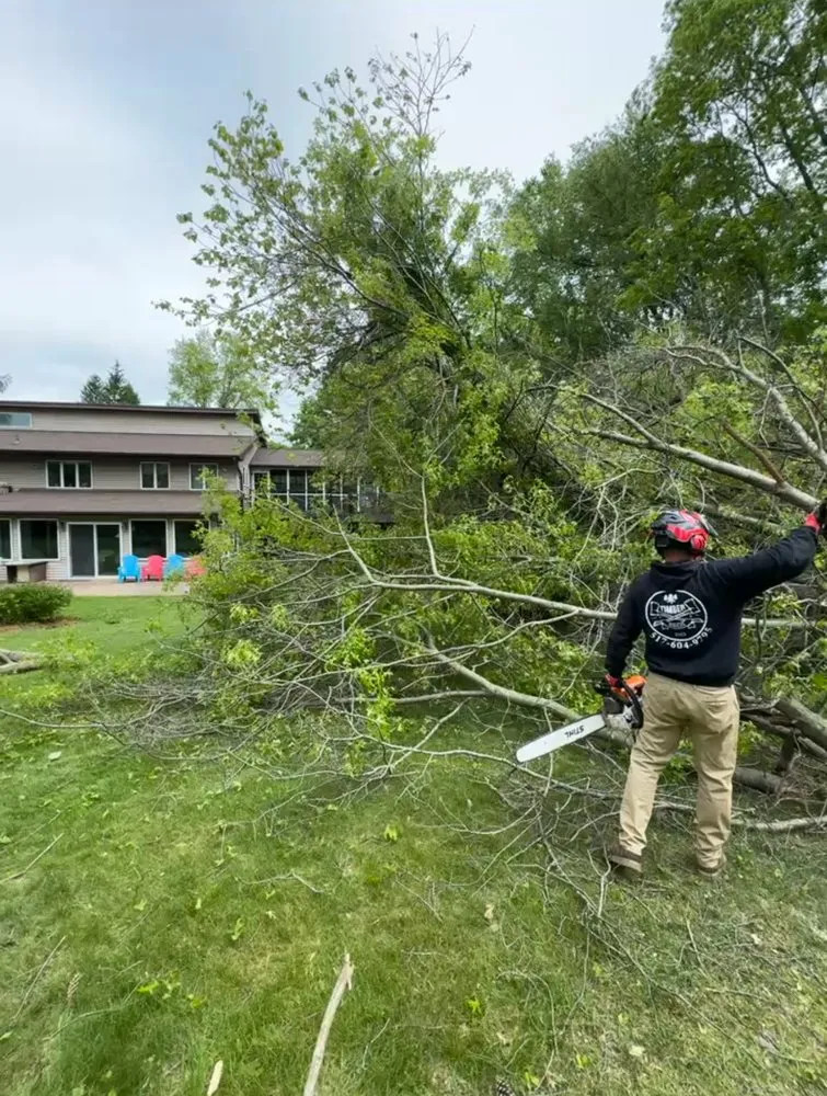 Expert yard maintenance in Mason, MI - Timber Bros