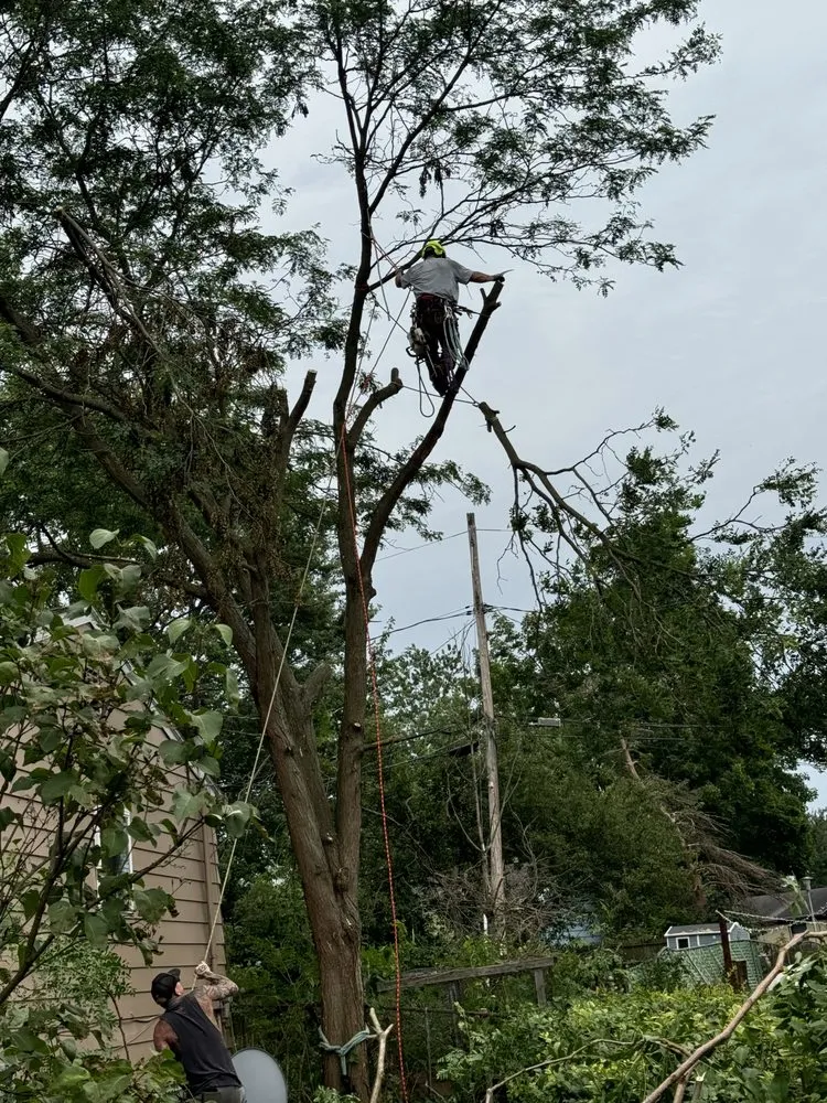 Trusted landscape design in Mason, MI - Timber Bros