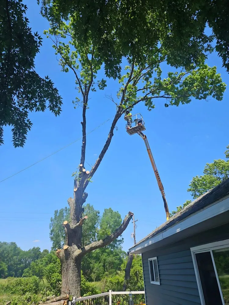 Expert outdoor landscaping in Mason, MI - Timber Bros