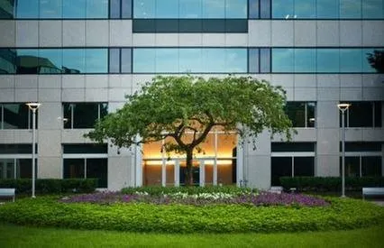 Custom yard cleanup service in South Holland, IL - Timber Crest Landscaping and Lawn Care