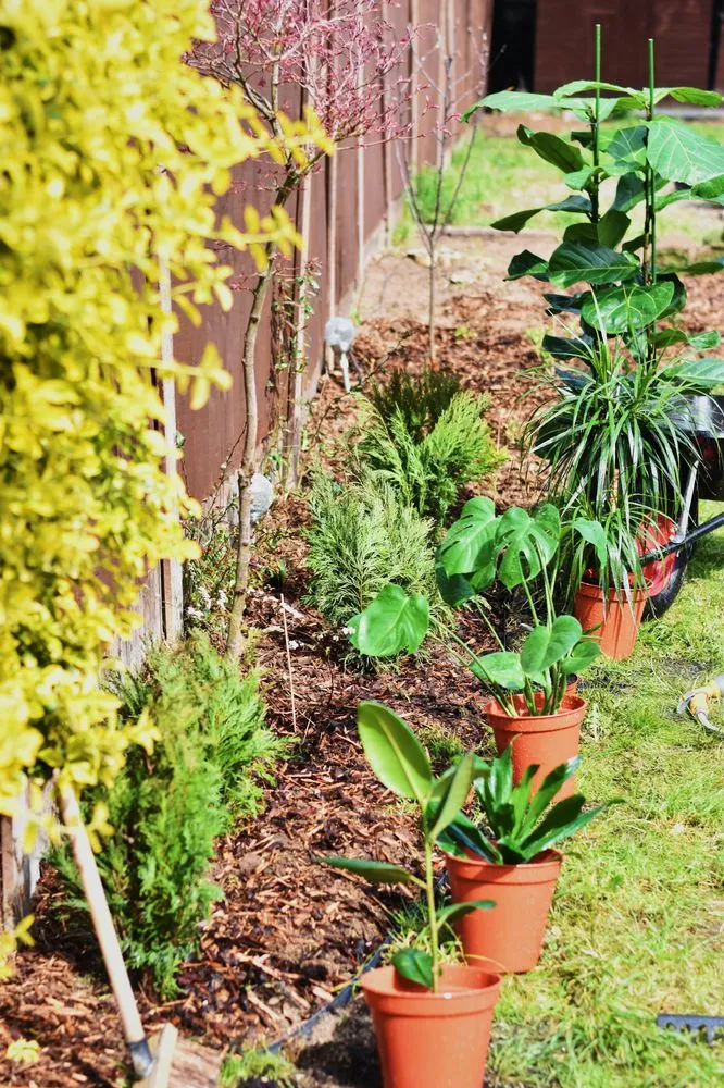 Local residential landscaping with custom design across Monroe, NC - Timber Cut Services