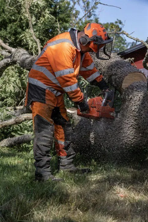 Custom yard maintenance with custom design in Monroe, NC by Timber Cut Services