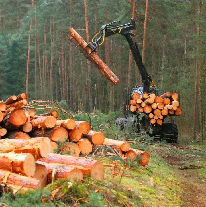 Professional yard maintenance for outdoor upgrades across Monroe, NC - Timber Cut Services