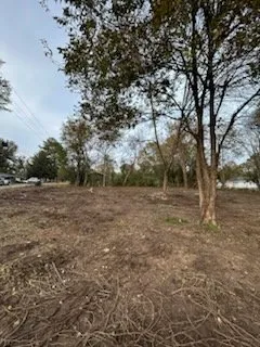 Timber Falls Tree & Landscape Logo