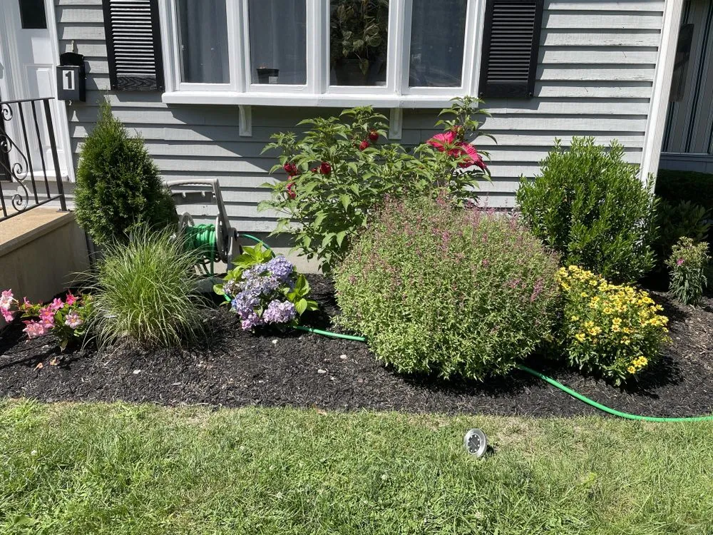 Expert lawn mowing service for year-round maintenance across Framingham, MA - Timber King Landscaping