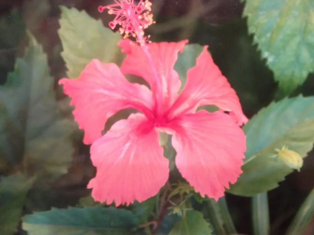 Top-rated lawn mowing service experts serving Riverhead, NY - Timber Landscaping & Design, Inc