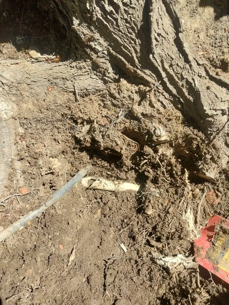 Affordable landscape design experts serving Salem, OR - Timber Landscapings