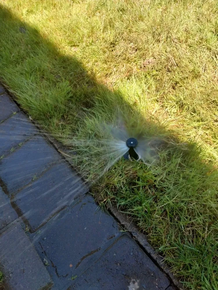 Reliable residential landscaping for beautiful yards across Salem, OR - Timber Landscapings