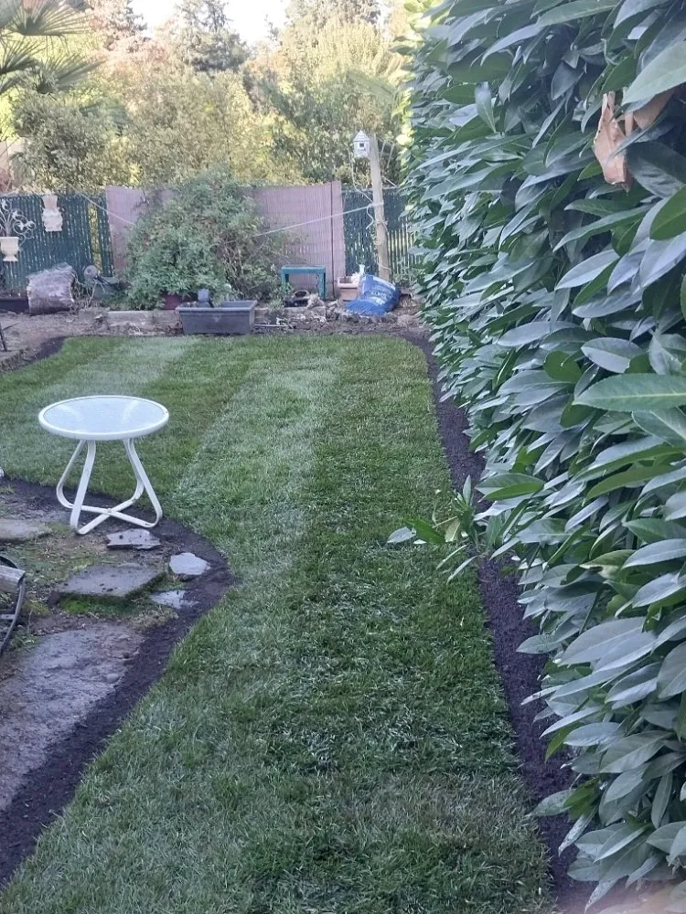 Affordable outdoor landscaping for year-round maintenance across Salem, OR - Timber Landscapings