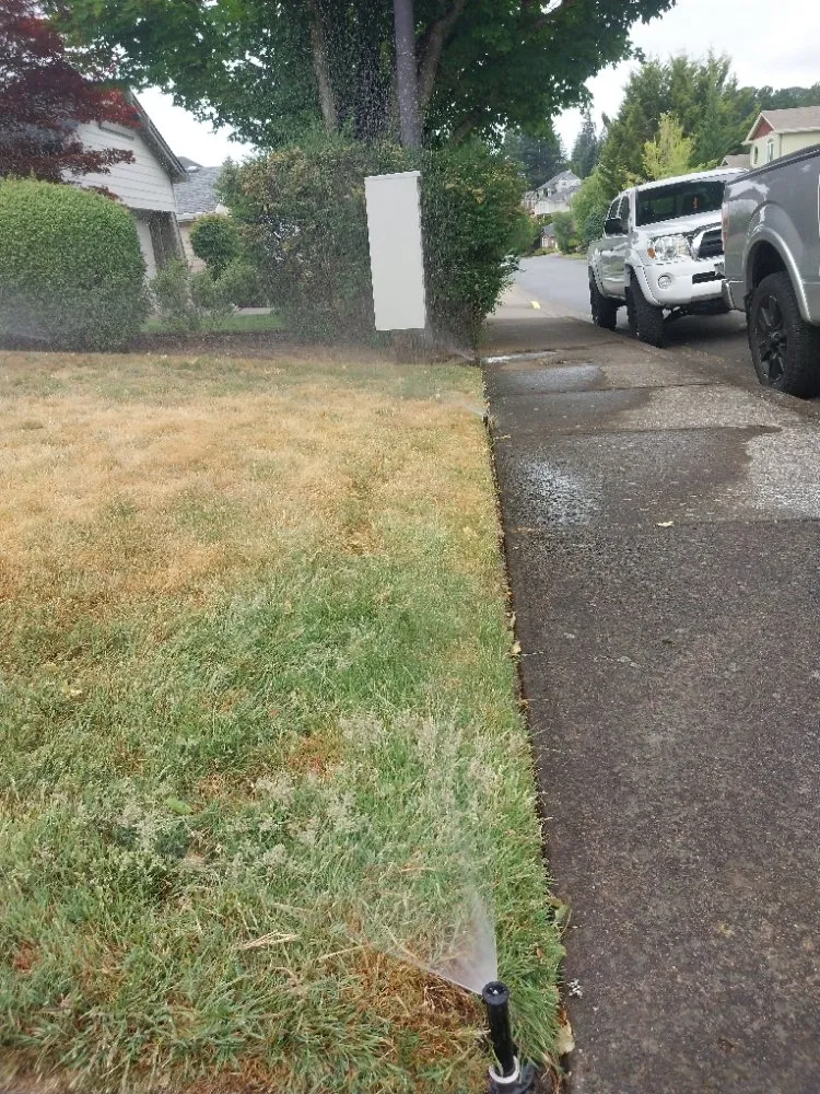 Trusted lawn care service in Salem, OR by Timber Landscapings