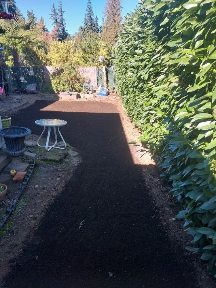 Affordable lawn mowing service for outdoor upgrades across Salem, OR - Timber Landscapings