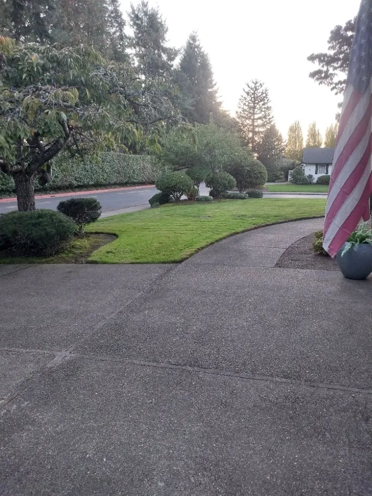 Expert lawn mowing service with custom design across Salem, OR - Timber Landscapings