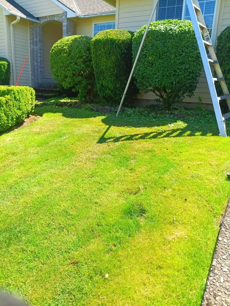 Professional yard maintenance with custom design in Salem, OR by Timber Landscapings