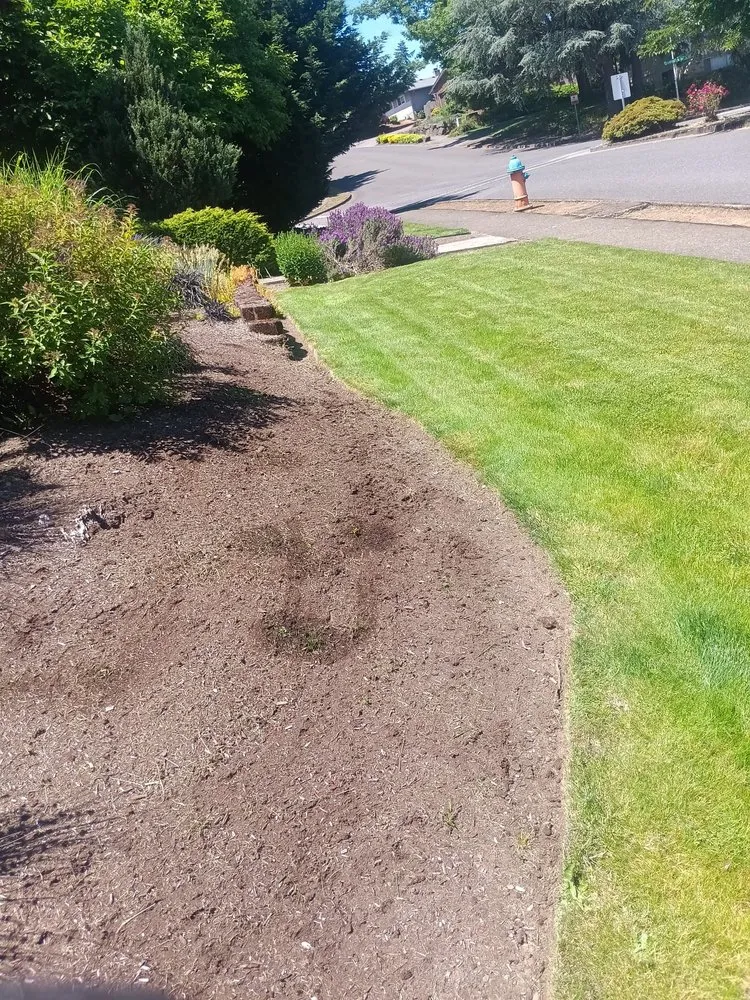 Trusted residential landscaping in Salem, OR - Timber Landscapings