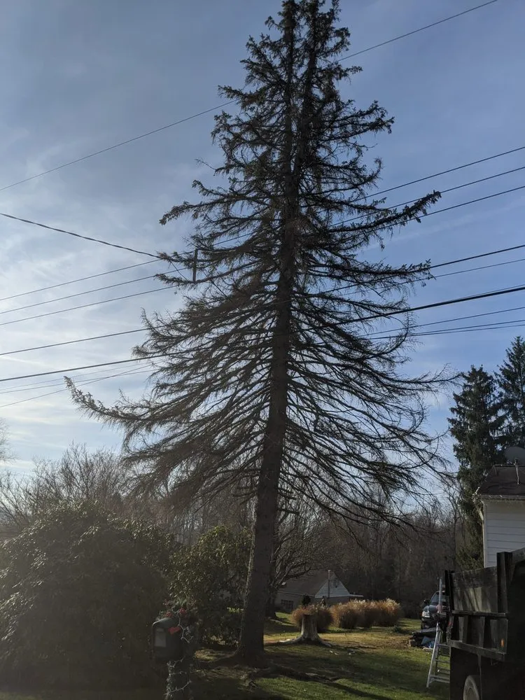 Expert garden landscaping experts serving Finleyville, PA - Timber Lane Tree Service and Landscaping