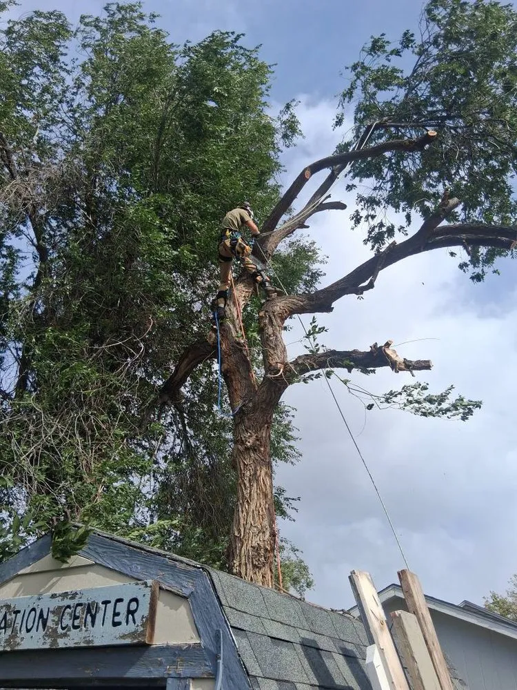 Custom landscape design with custom design in Hot Springs, SD by Timber Line