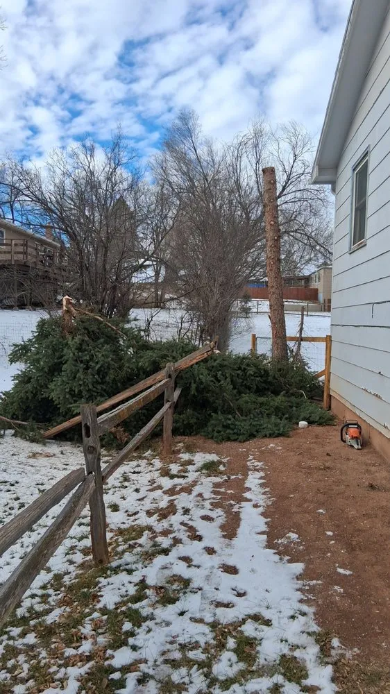 Custom landscape design experts serving Hot Springs, SD - Timber Line