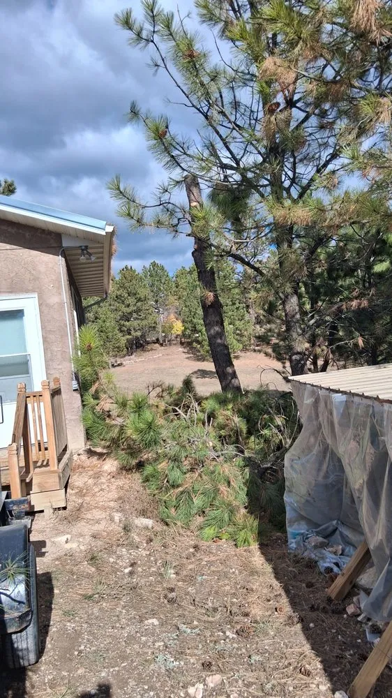 Reliable lawn care service in Hot Springs, SD by Timber Line