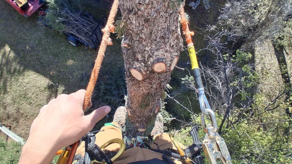 Reliable residential landscaping in Hot Springs, SD by Timber Line