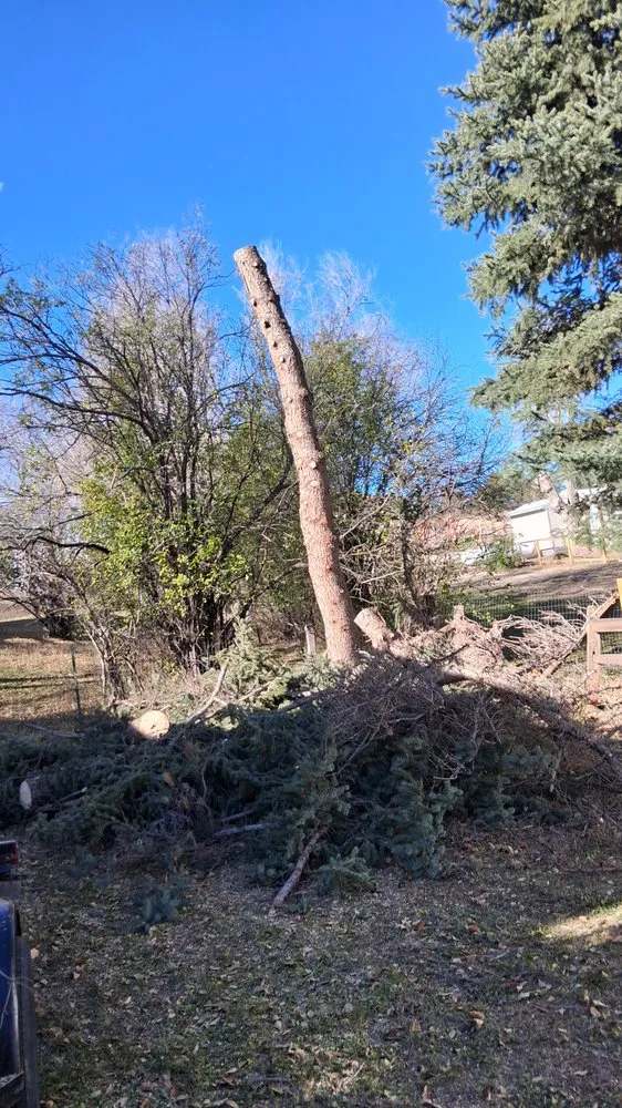 Affordable landscape design in Hot Springs, SD - Timber Line