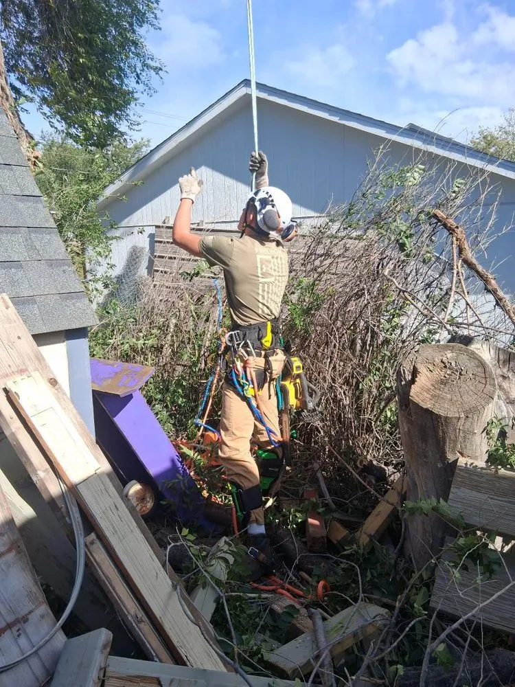 Top-rated landscaping services in Hot Springs, SD - Timber Line