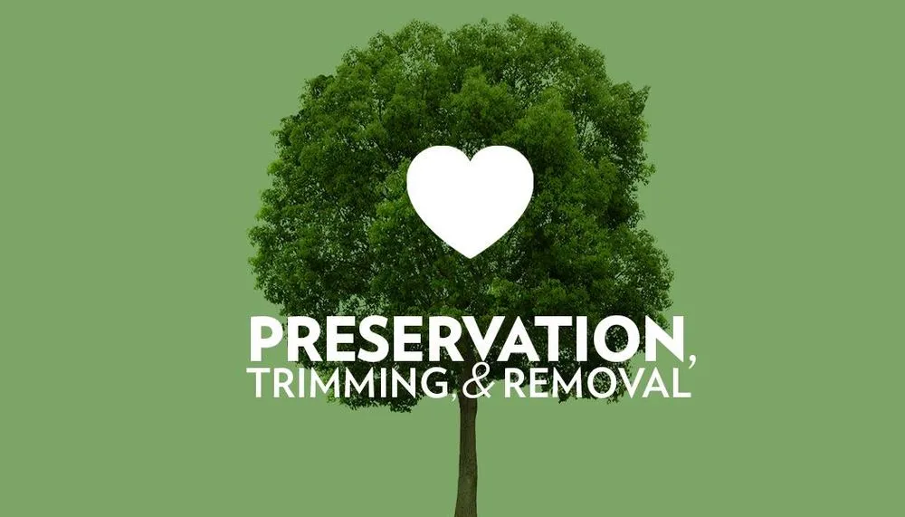 Expert garden landscaping in Austin, TX by Timber Love and Care