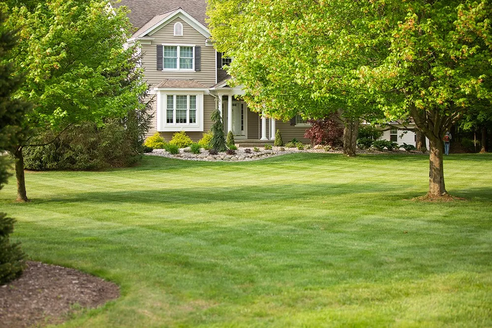 Top-rated landscape installation for homes in Vassar, MI by Timber Oaks