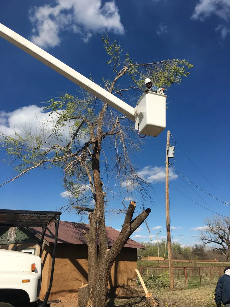 Professional lawn mowing service in Woodward, OK - Timber Oklahoma